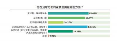 《中国足球环境及未来发展白皮书（2025）》发布：100吋大屏电视成球迷客厅新标配-萌图百科