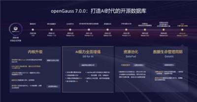 openGauss向量驱动新智能  RAC多写破局  内核升级再启航-萌图百科