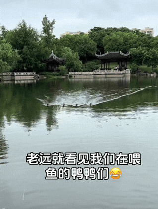 3DM轻松一刻第1504期 死丫头净做些让我高兴之事