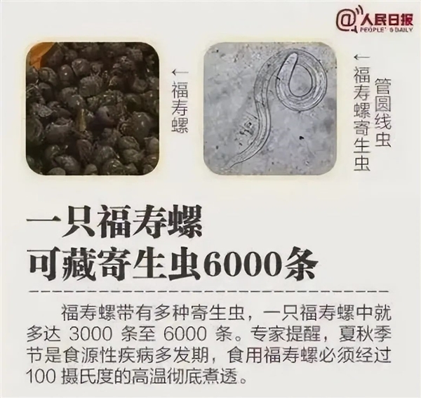 可藏6000条寄生虫！外来物种福寿螺竟然能吃：曾卖得很贵