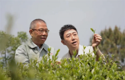 娃哈哈遗产大战让钟睒睒口碑翻盘 网友：商界一股清流-萌图百科