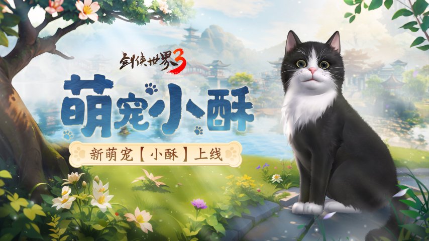 图2.jpg