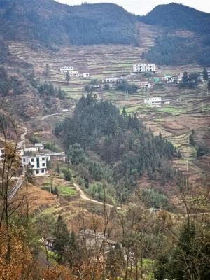 6岁时被熟人拐走  36岁男子通过抖音寻人找到双胞胎弟弟-萌图百科