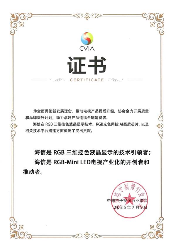 中国电子视像协会认证：海信为RGB-Mini LED显示技术引领者与产业开创者-萌图百科
