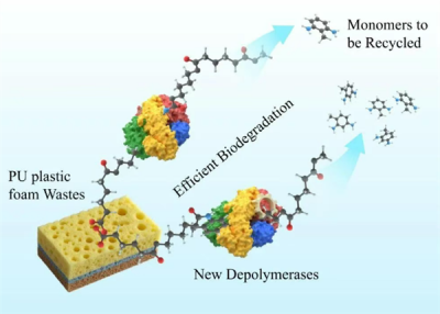 中科院找到生物降解塑料新方法：效率暴增10倍以上-萌图百科