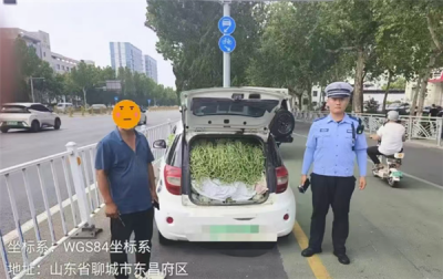 山东“豆橛子”又爆仓了 A00级小汽车塞满豆角 轮胎都压瘪了-萌图百科