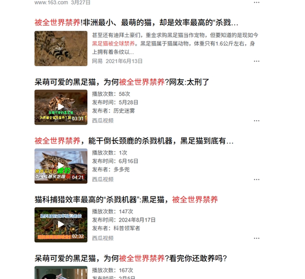这是已知最致命的猫科动物！一年猎杀3000只啮齿动物
