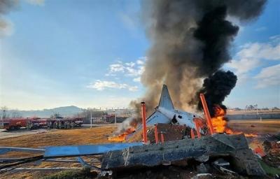 空难致179人死亡 曝韩国济州空难与飞行员错关发动机有关-萌图百科