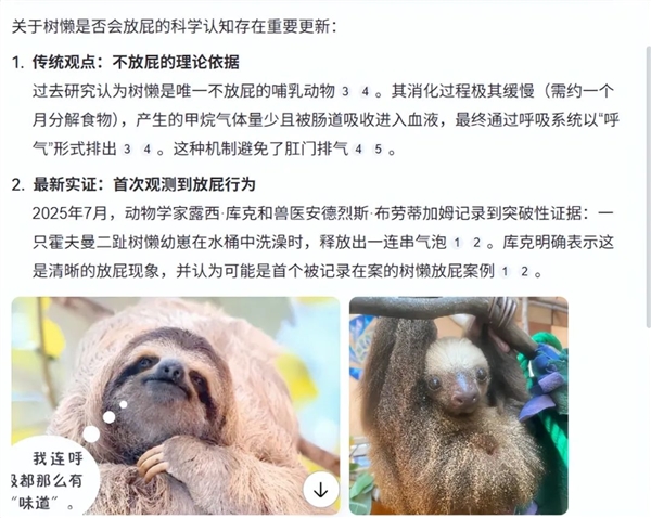 一只树懒水中放了一个屁：科学界为之轰动不已！
