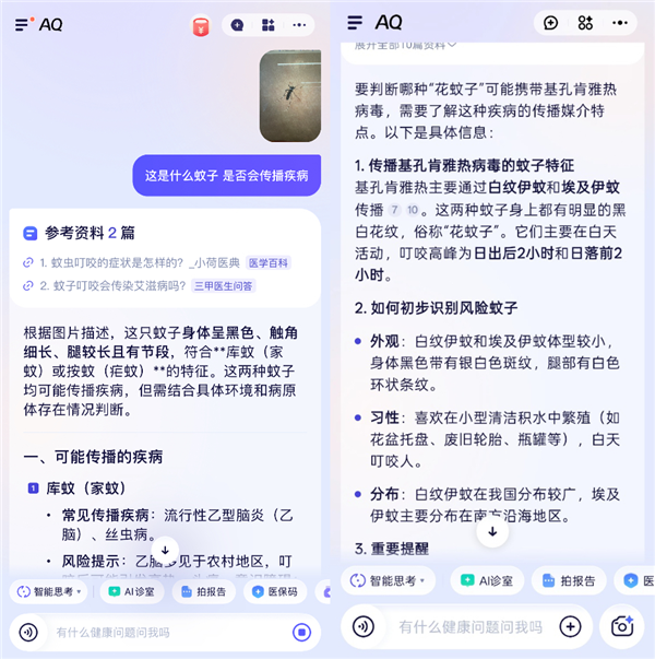 广东发生基孔肯雅热疫情 AQ上线拍照识蚊子功能：支持品种识别