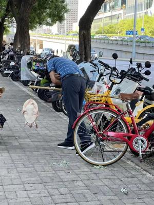 多地街头贩卖“野生鳖”：不要吃、更不能买来放生！-萌图百科
