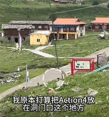 大疆Action 4被土拨鼠偷走 客服小姐姐都被逗笑了-萌图百科