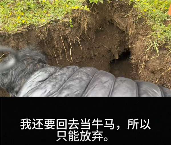 大疆Action 4被土拨鼠偷走 客服小姐姐都被逗笑了