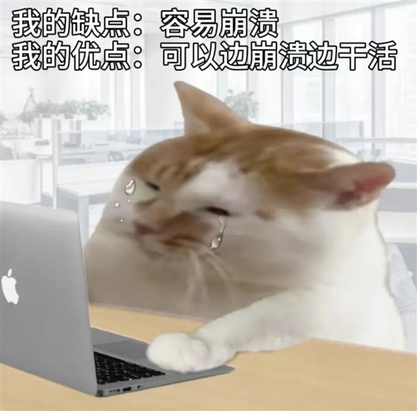 Win 11升级这个劫：我是非渡不可吗-萌图百科