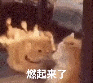 那个逼得我喊“救命”的AI客服 终于活出“人样”了
