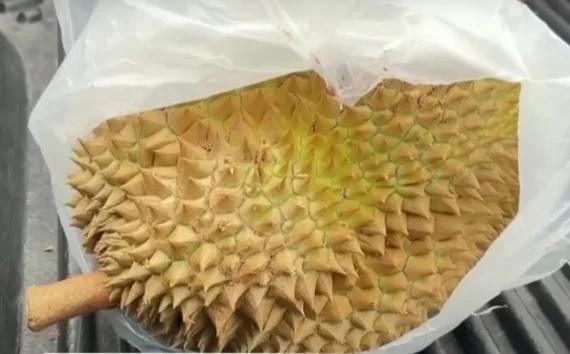 泰国一男子骑摩托追尾皮卡 一头扎到榴莲上：太惨！-萌图百科