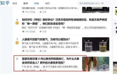 千万富翁被公象用象牙刺穿并踩死！为什么会突然攻击熟人-萌图百科