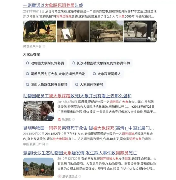 千万富翁被公象用象牙刺穿并踩死！为什么会突然攻击熟人