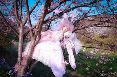 樱花拟人cos-萌图百科