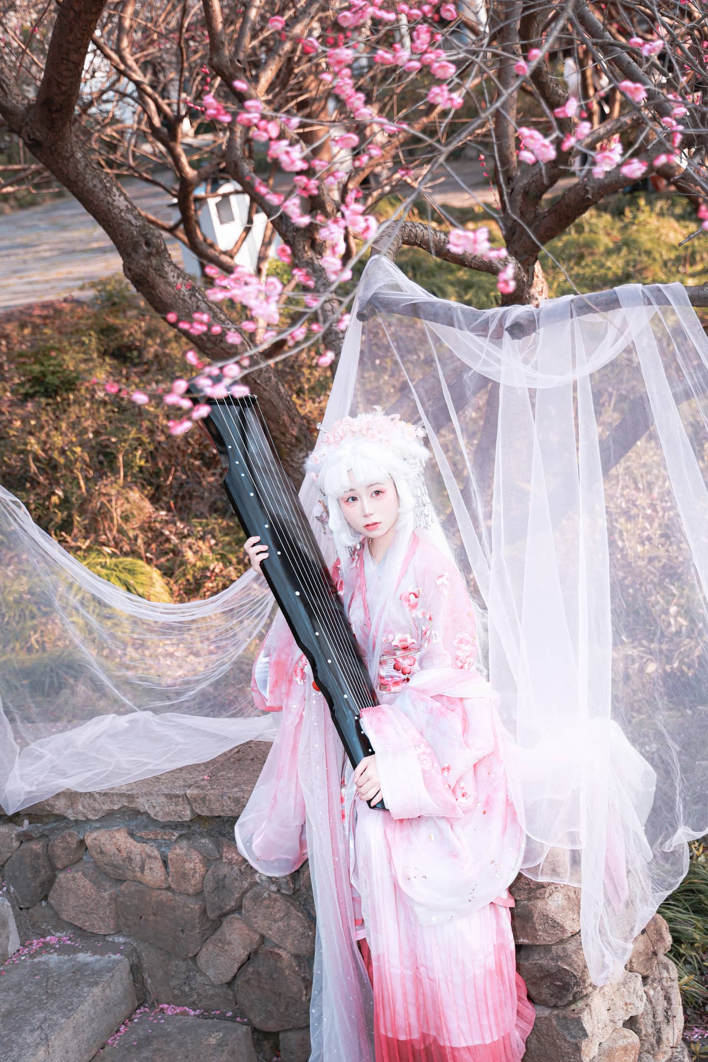 梅花拟人 国风cos-萌图百科