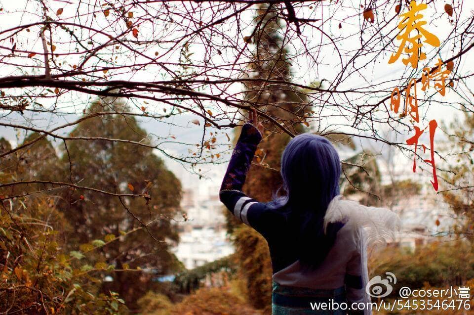 《秦时明月》白凤cosplay-萌图百科
