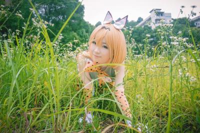 兽娘动物园 薮猫cosplay-萌图百科