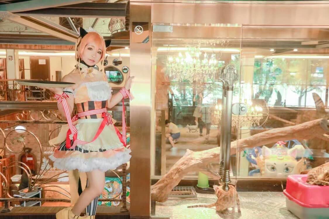 Love Live !凛喵情人节女仆cosplay-萌图百科