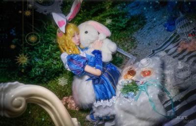 王者荣耀爱丽丝妲己Cosplay-萌图百科