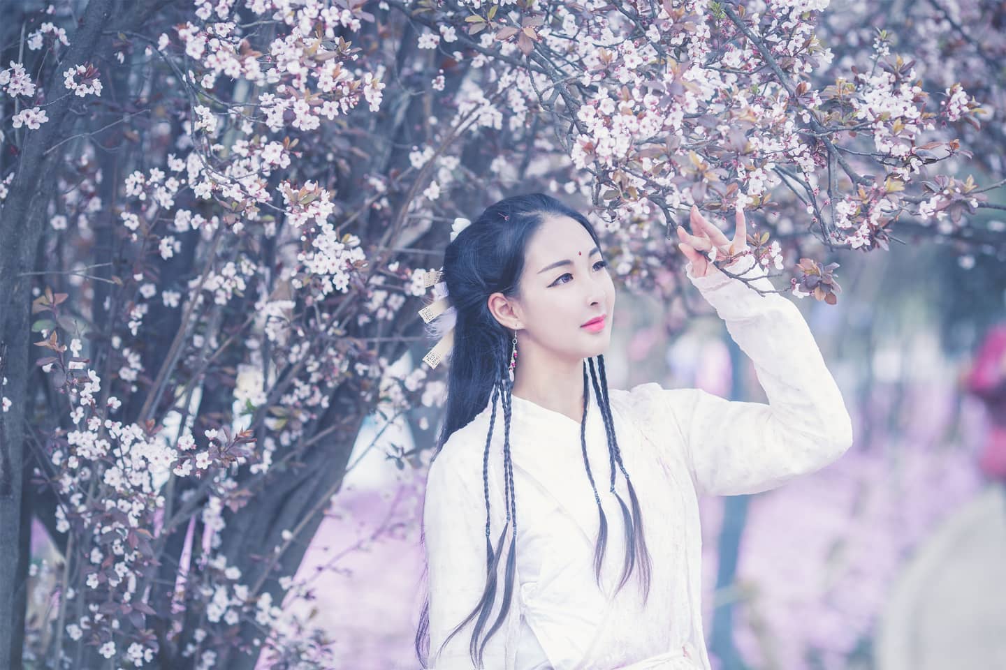 倚天屠龙记·芷若cosplay-萌图百科