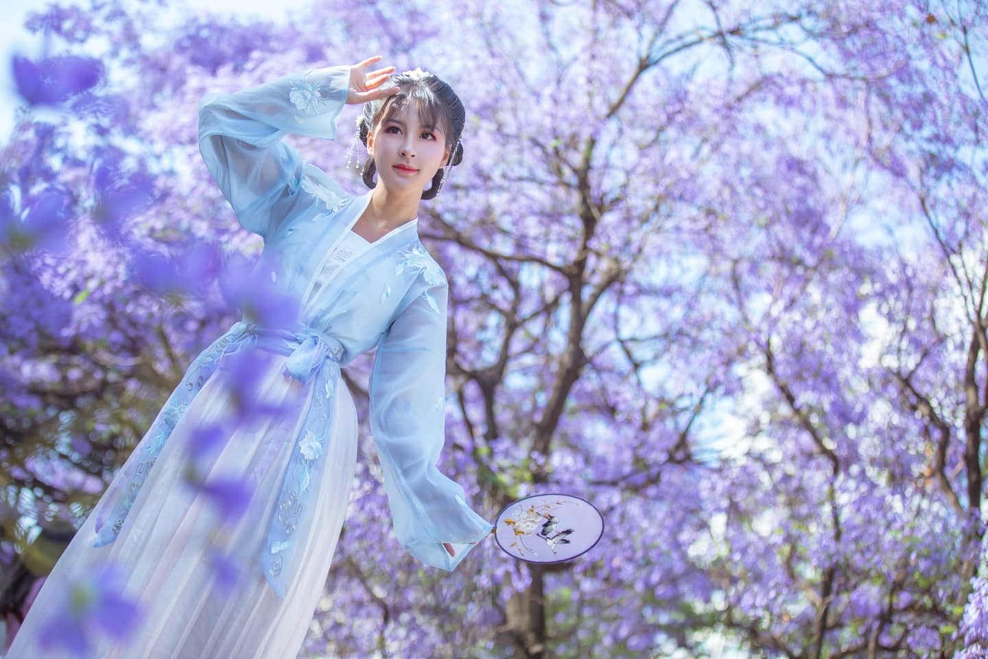 汉服蓝花楹-萌图百科