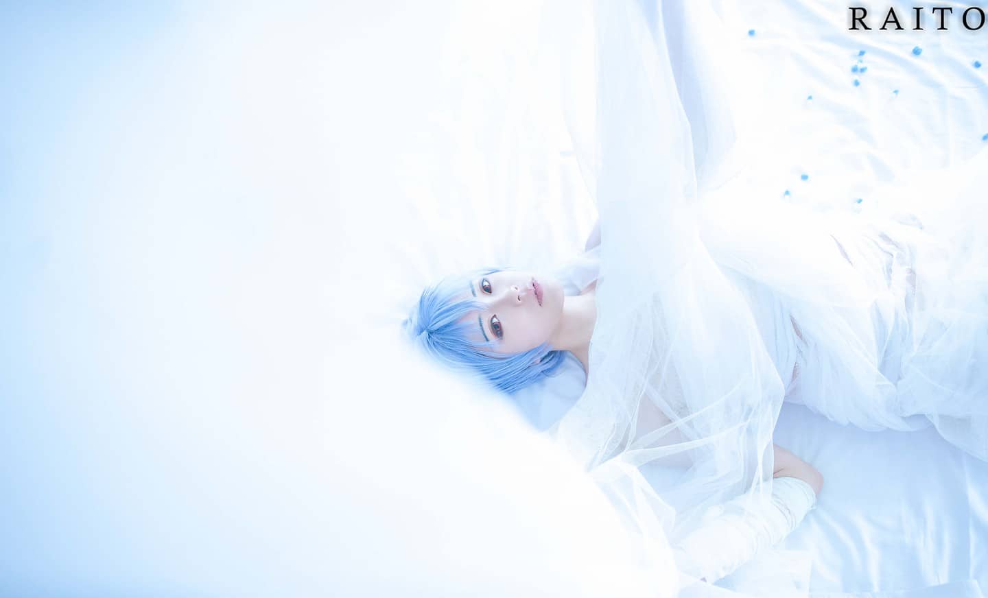 绫波レイ____生は死の始まり-萌图百科