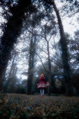 Lolita小红帽之死-萌图百科