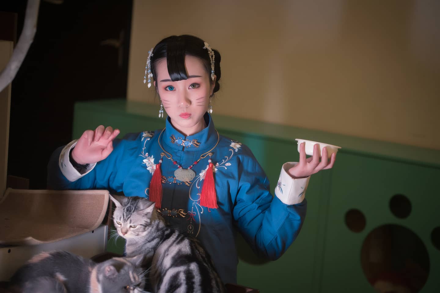汉服日常#猫趣#-萌图百科