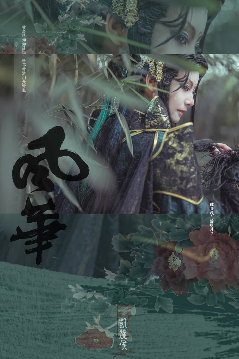 霹雳布袋戏-风华-凯旋侯-萌图百科