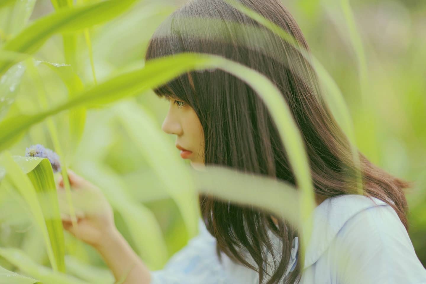 春天的片夏天修u-萌图百科