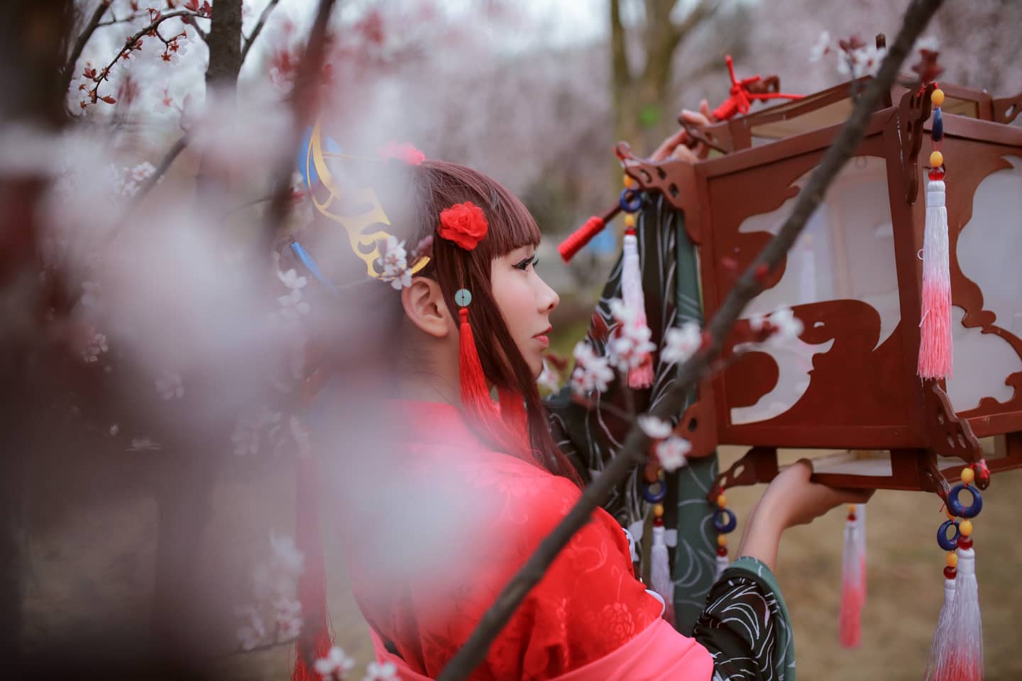 花灯结，提灯少女-萌图百科