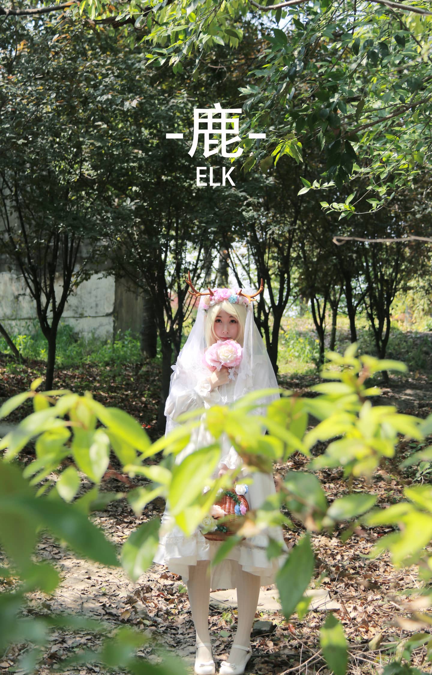 希望有一天在城市的东郊可以看到自由的鹿-萌图百科