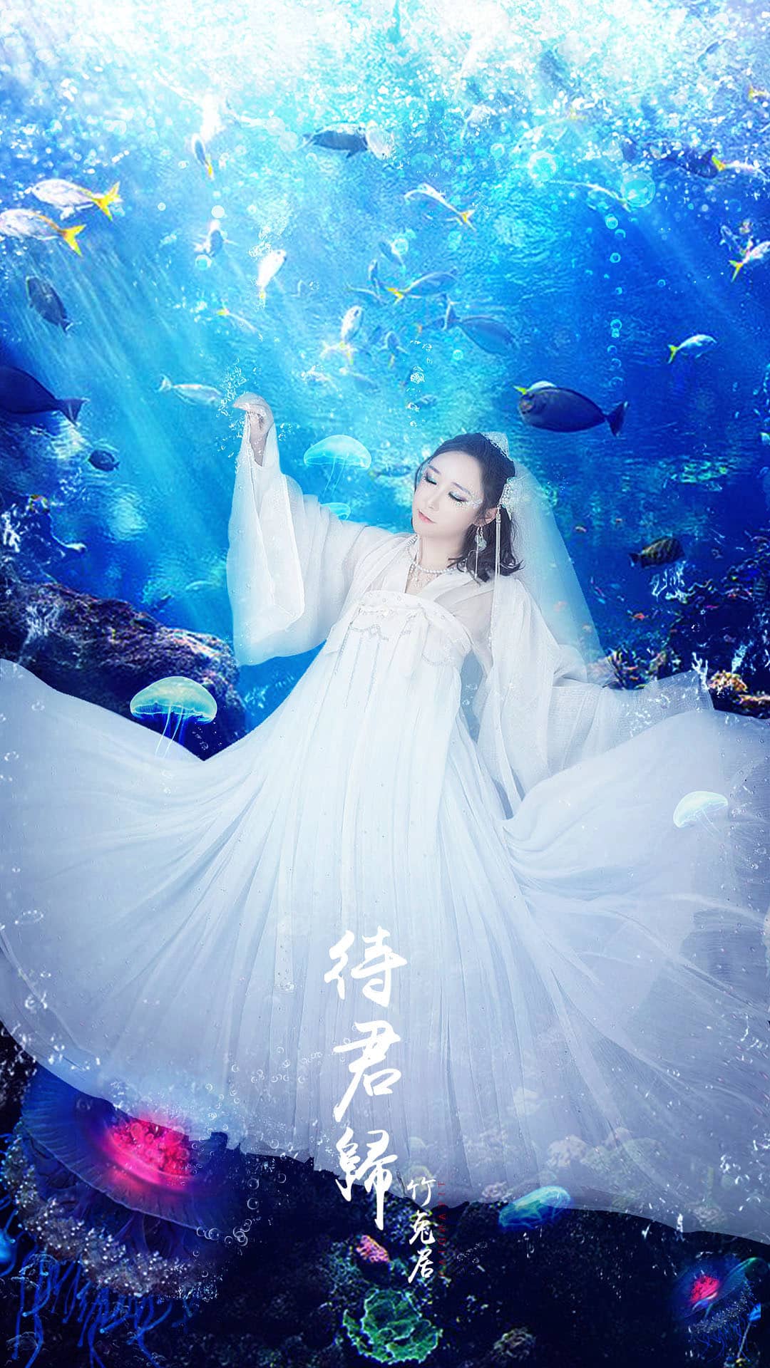 待君归-萌图百科
