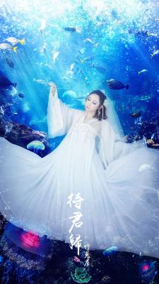 待君归-萌图百科