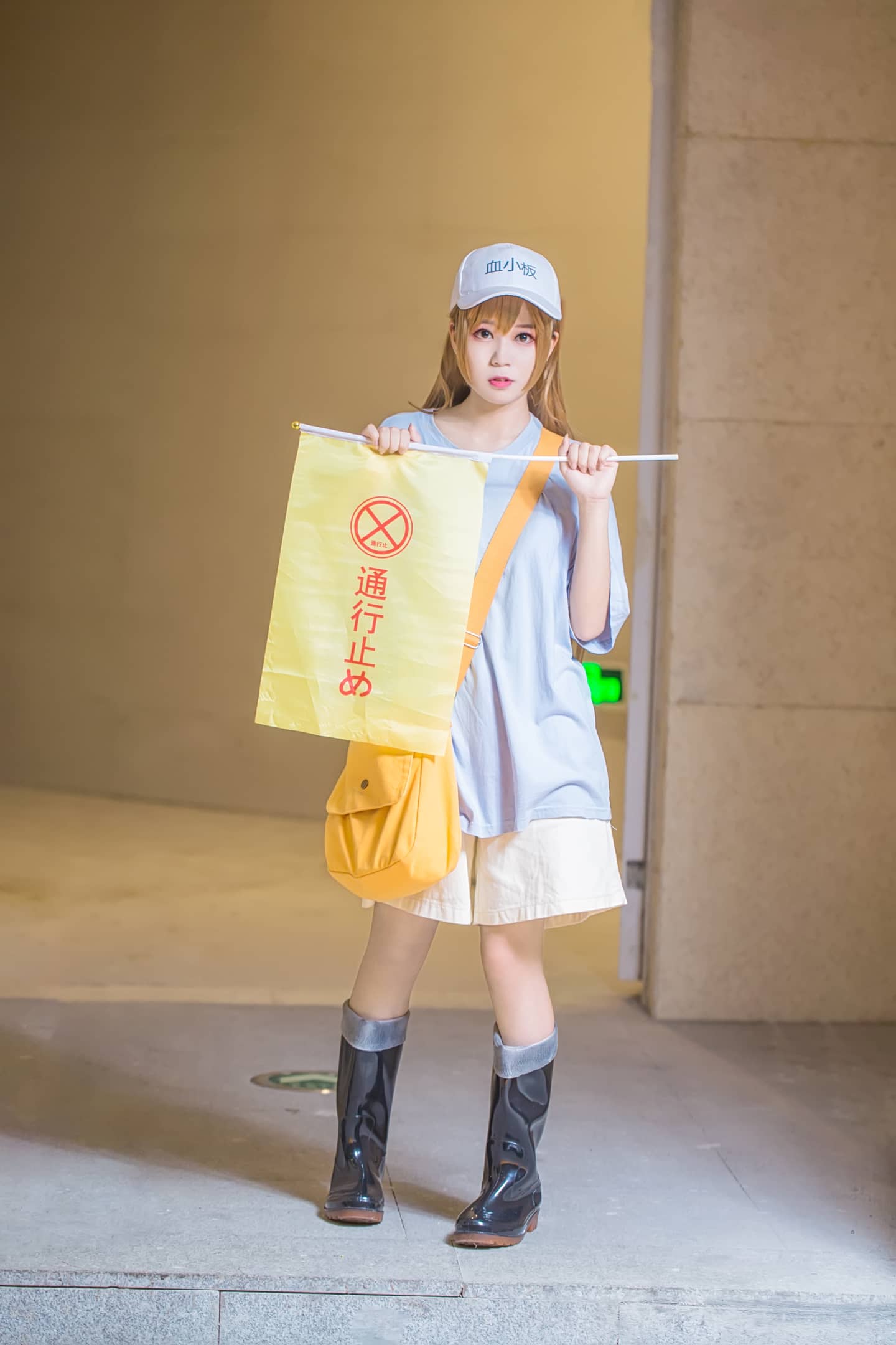 工作细胞血小板cosplay-萌图百科