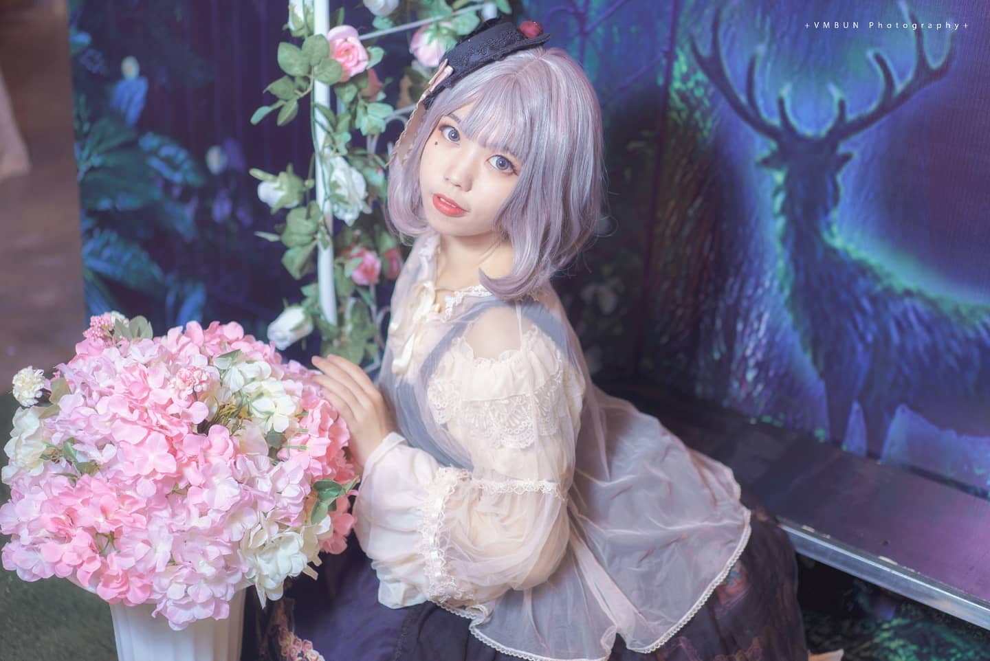 Lolita猫伯爵-萌图百科