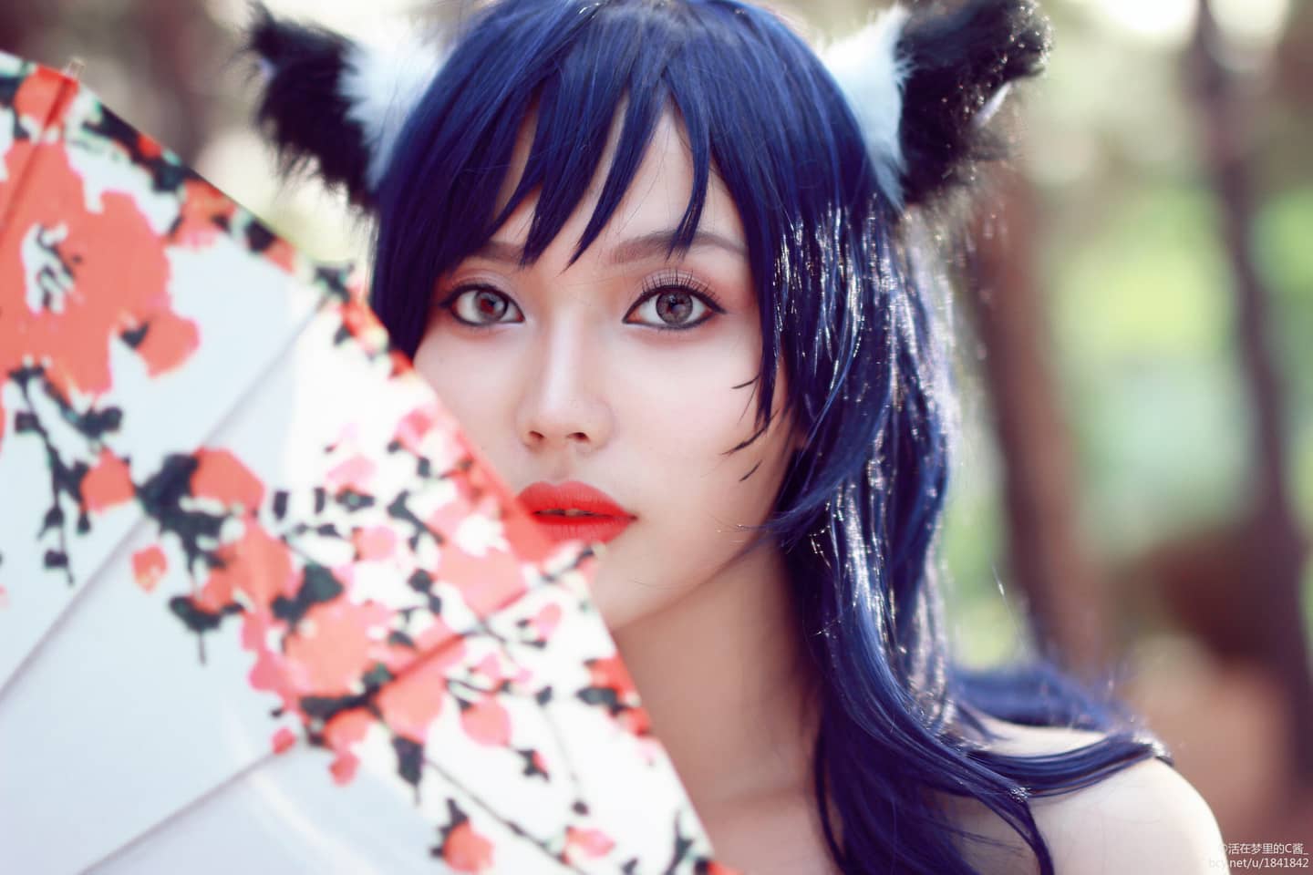 九尾妖狐阿狸cosplay-萌图百科