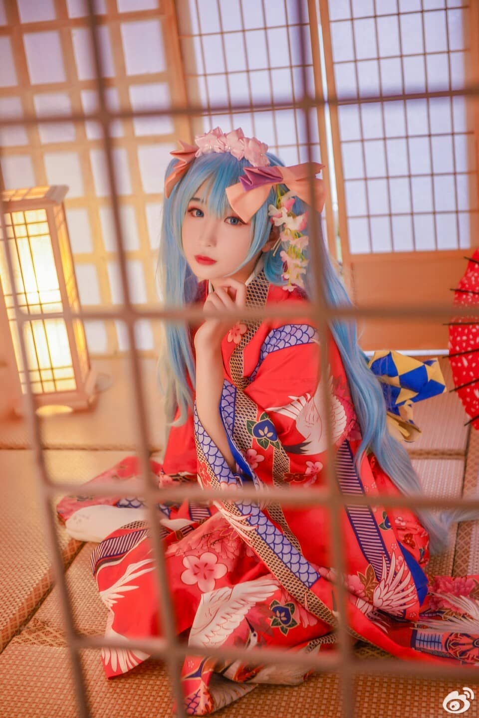 初音鹤车 花色衣 手办版Ver-萌图百科