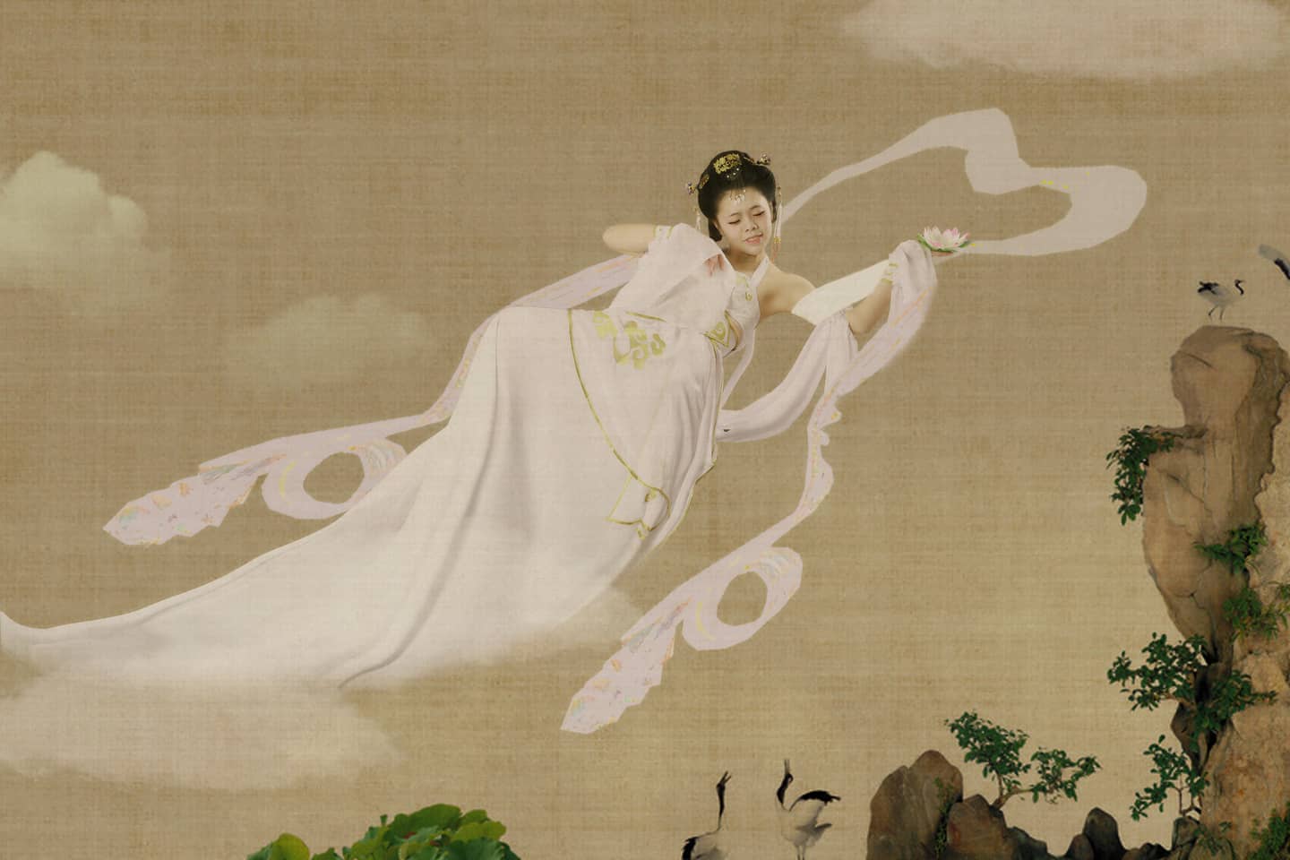 司马家妙音鸟 大妙音-萌图百科