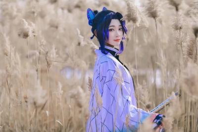 鬼灭之刃 蝴蝶忍cosplay-萌图百科