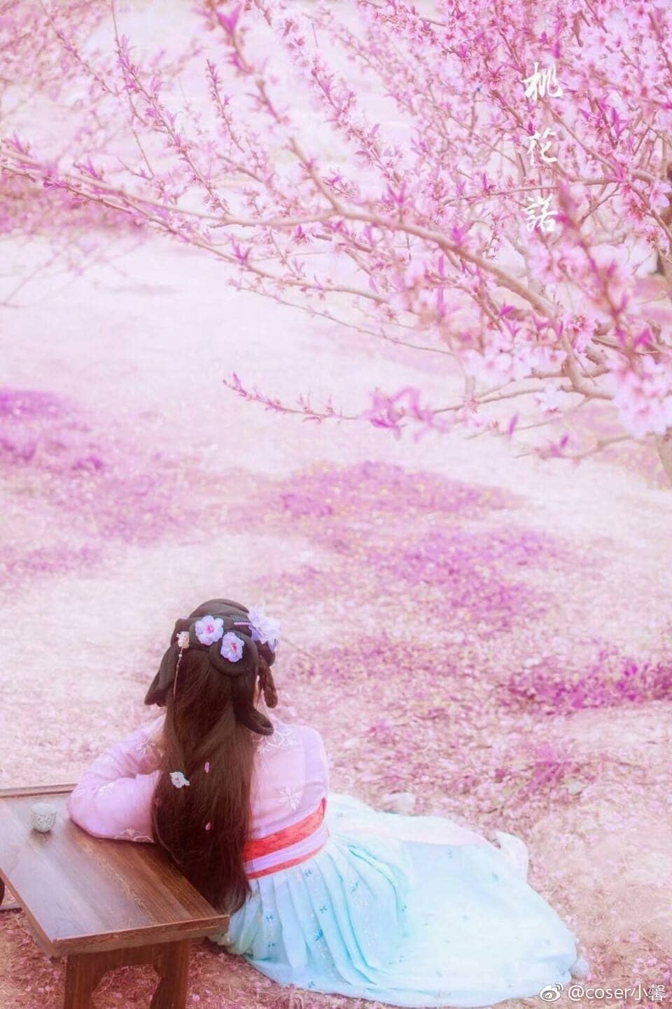 樱花古风（coser眠妃珞馨cos桃之夭夭）-萌图百科