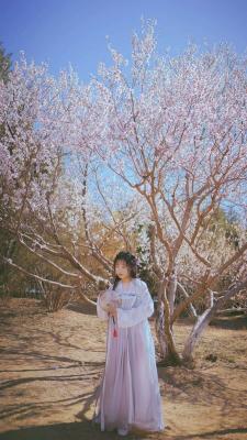 樱花妖cosplay-萌图百科
