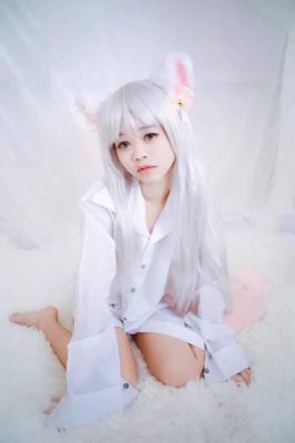 猫咪拟人    衬衫-萌图百科