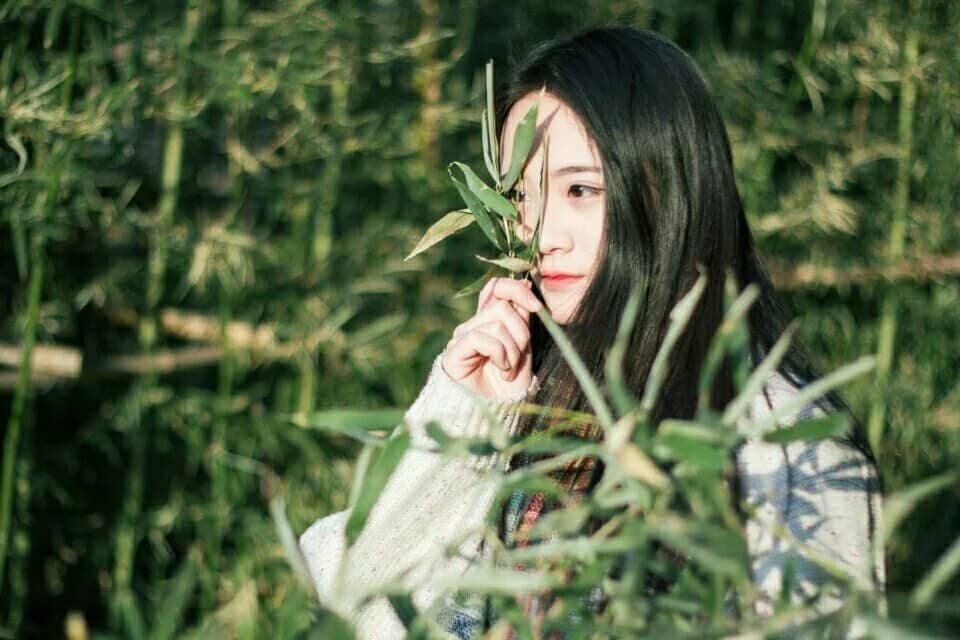 TYA事务所小七-萌图百科