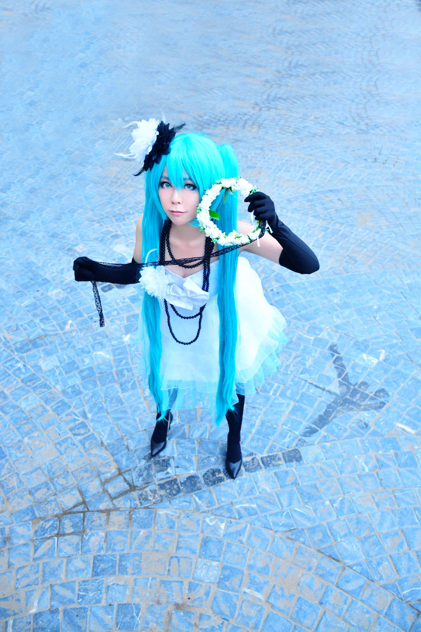 山茶花（白礼服）初音-萌图百科